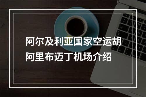 阿尔及利亚国家空运胡阿里布迈丁机场介绍