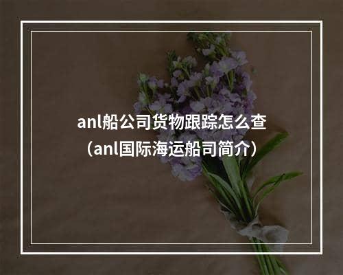 anl船公司货物跟踪怎么查（anl国际海运船司简介）