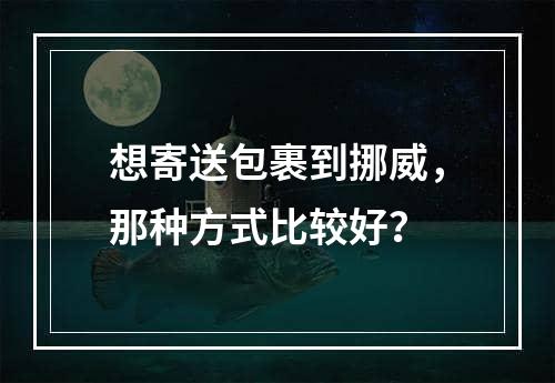 想寄送包裹到挪威，那种方式比较好？