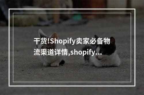 干货!Shopify卖家必备物流渠道详情,shopify卖家怎么开通shopify pay