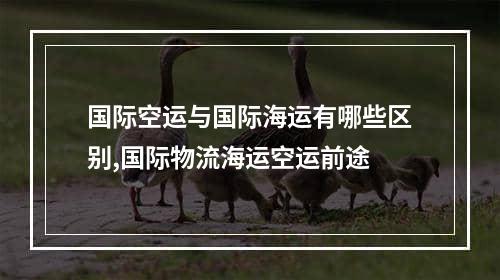 国际空运与国际海运有哪些区别,国际物流海运空运前途