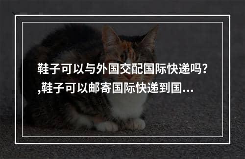 鞋子可以与外国交配国际快递吗？,鞋子可以邮寄国际快递到国外的吗