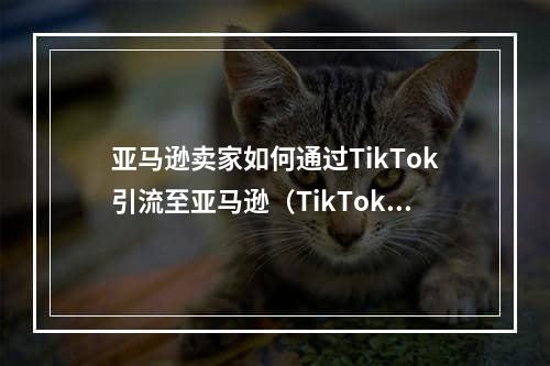 亚马逊卖家如何通过TikTok引流至亚马逊（TikTok与亚马逊的整合关系）