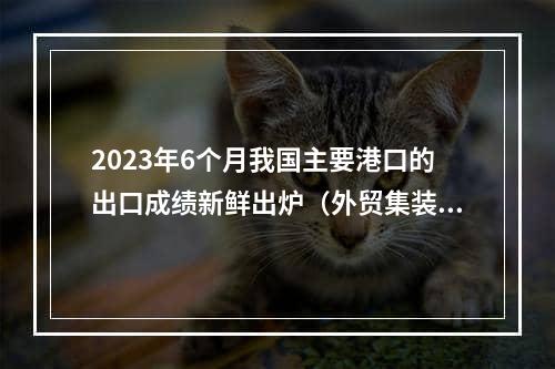 2023年6个月我国主要港口的出口成绩新鲜出炉（外贸集装箱吞吐量1464.16万TEU）