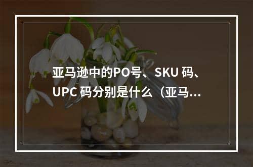 亚马逊中的PO号、SKU 码、UPC 码分别是什么（亚马逊干货知识分享）