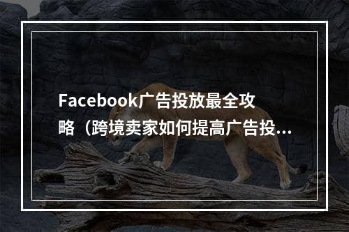 Facebook广告投放最全攻略（跨境卖家如何提高广告投资回报率）