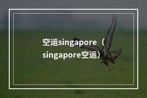 空运singapore（singapore空运）