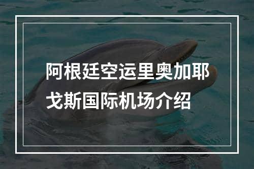 阿根廷空运里奥加耶戈斯国际机场介绍