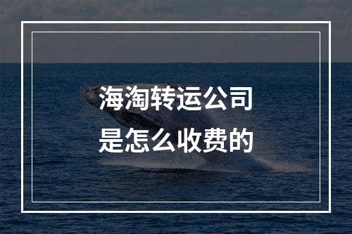 海淘转运公司是怎么收费的