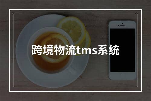 跨境物流tms系统