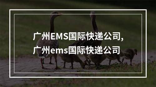 广州EMS国际快递公司,广州ems国际快递公司