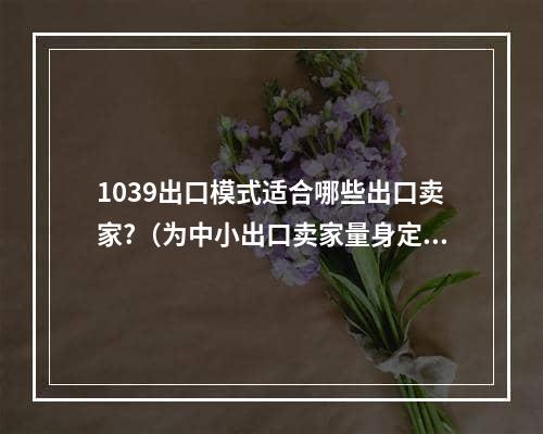 1039出口模式适合哪些出口卖家?（为中小出口卖家量身定制的贸易模式）