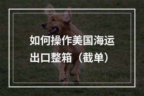 如何操作美国海运出口整箱（截单）