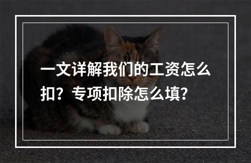 一文详解我们的工资怎么扣？专项扣除怎么填？