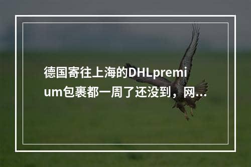 德国寄往上海的DHLpremium包裹都一周了还没到，网上信息从15号开始停留在离开出口互换局！！