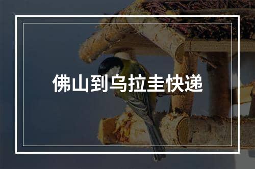 佛山到乌拉圭快递