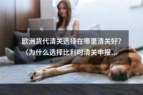 欧洲货代清关选择在哪里清关好？（为什么选择比利时清关申报递延）