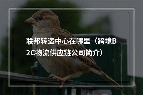 联邦转运中心在哪里（跨境B2C物流供应链公司简介）