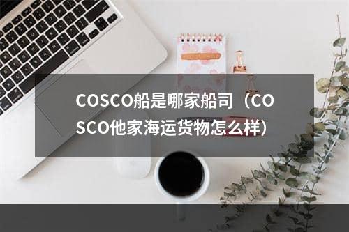 COSCO船是哪家船司（COSCO他家海运货物怎么样）