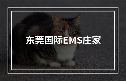 东莞国际EMS庄家