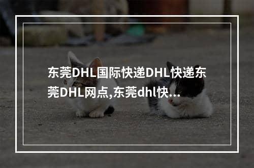 东莞DHL国际快递DHL快递东莞DHL网点,东莞dhl快递