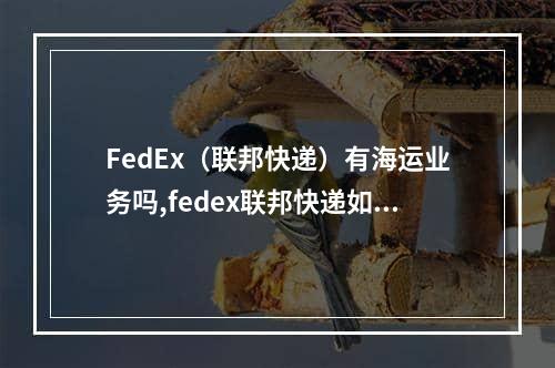 FedEx（联邦快递）有海运业务吗,fedex联邦快递如何