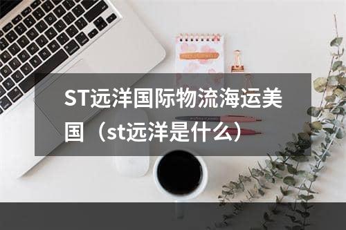 ST远洋国际物流海运美国（st远洋是什么）