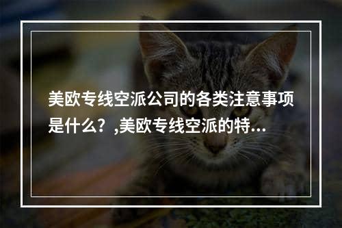 美欧专线空派公司的各类注意事项是什么？,美欧专线空派的特点有哪些