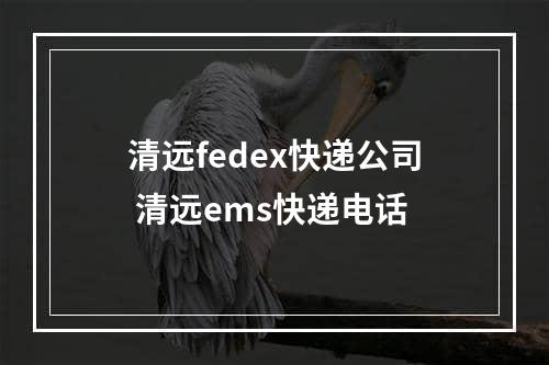 清远fedex快递公司 清远ems快递电话