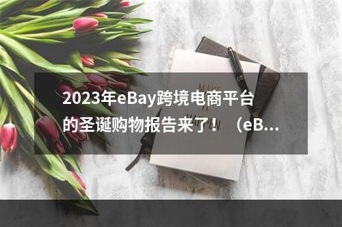 2023年eBay跨境电商平台的圣诞购物报告来了！（eBay卖家的选品参考）