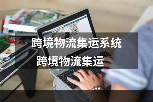 跨境物流集运系统  跨境物流集运