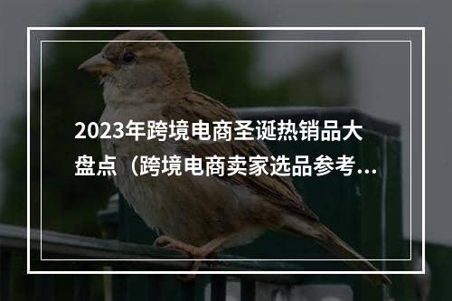 2023年跨境电商圣诞热销品大盘点（跨境电商卖家选品参考）