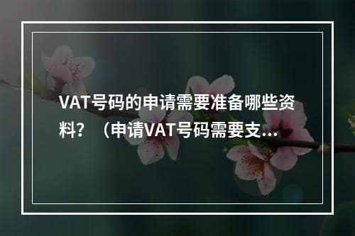 VAT号码的申请需要准备哪些资料？（申请VAT号码需要支付任何费用吗）