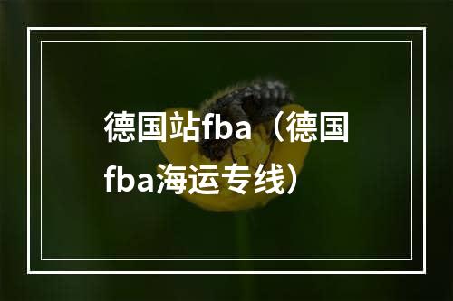 德国站fba（德国fba海运专线）