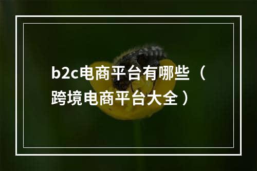 b2c电商平台有哪些（跨境电商平台大全 ）