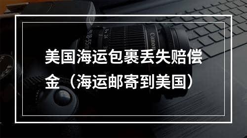 美国海运包裹丢失赔偿金（海运邮寄到美国）