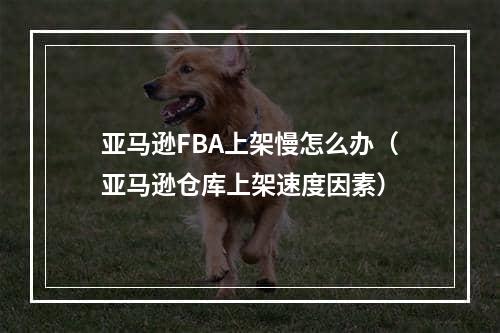 亚马逊FBA上架慢怎么办（亚马逊仓库上架速度因素）