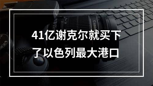 41亿谢克尔就买下了以色列最大港口