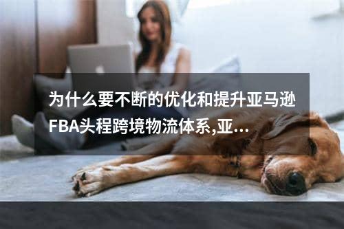 为什么要不断的优化和提升亚马逊FBA头程跨境物流体系,亚马逊fba收费价目表