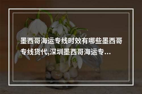 墨西哥海运专线时效有哪些墨西哥专线货代,深圳墨西哥海运专线