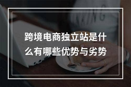 跨境电商独立站是什么有哪些优势与劣势