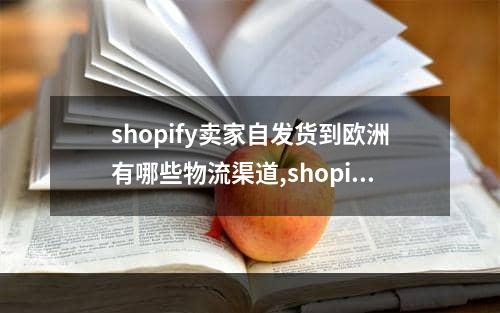 shopify卖家自发货到欧洲有哪些物流渠道,shopify可以通过什么物流发货