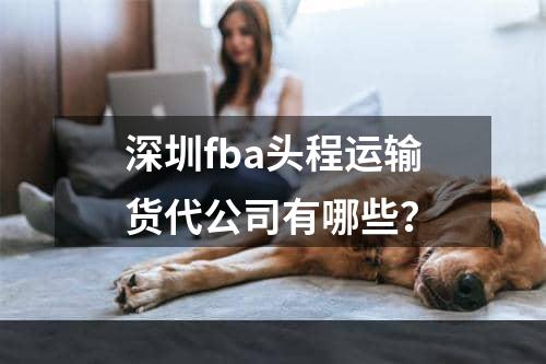 深圳fba头程运输货代公司有哪些？