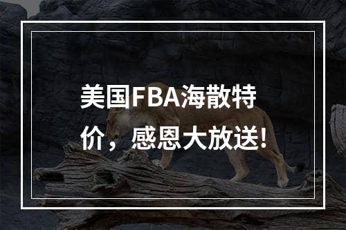 美国FBA海散特价，感恩大放送!