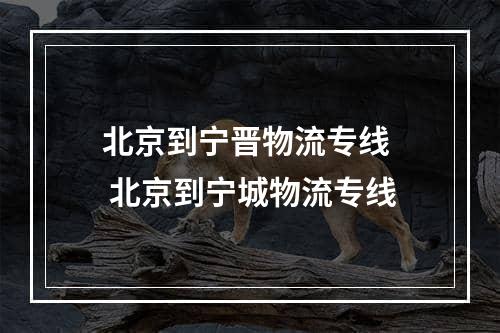 北京到宁晋物流专线  北京到宁城物流专线