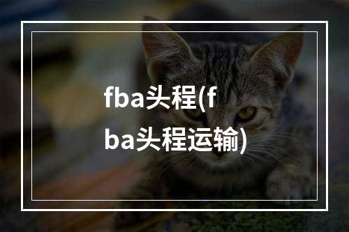 fba头程(fba头程运输)