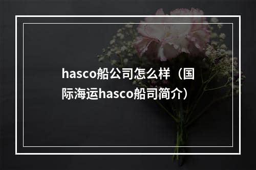 hasco船公司怎么样（国际海运hasco船司简介）