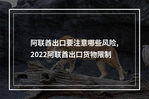 阿联酋出口要注意哪些风险,2022阿联酋出口货物限制