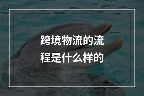 跨境物流的流程是什么样的