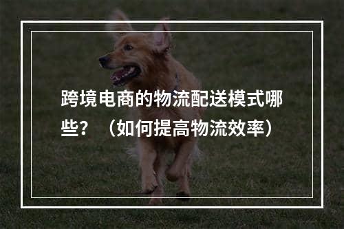 跨境电商的物流配送模式哪些？（如何提高物流效率）